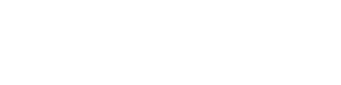 Nexus logo footer white
